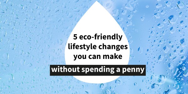 5 eco-friendly changes you can make for free