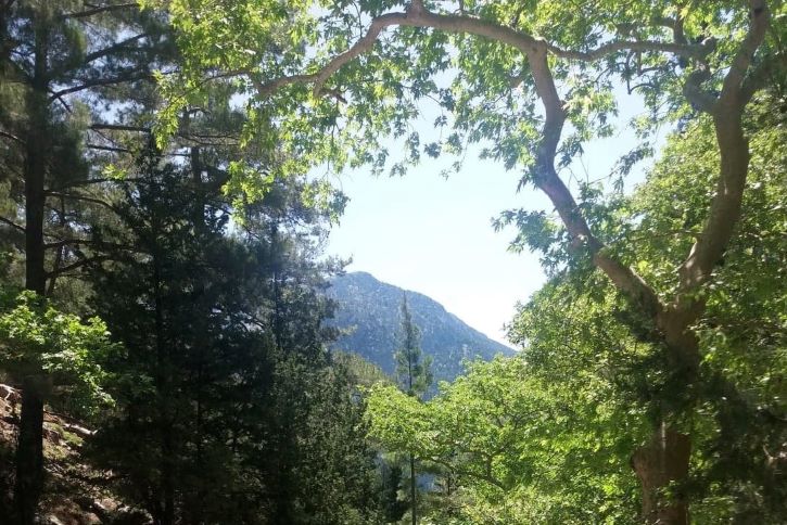 A view undisturbed by humans from Samaria Gorge, Crete