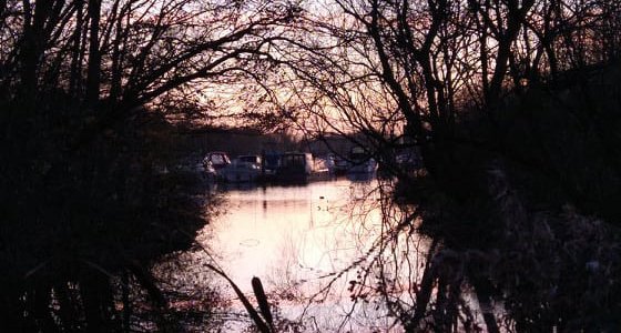 Colwick Lake at sunset, framed by bare, silhouetted trees and reeds.