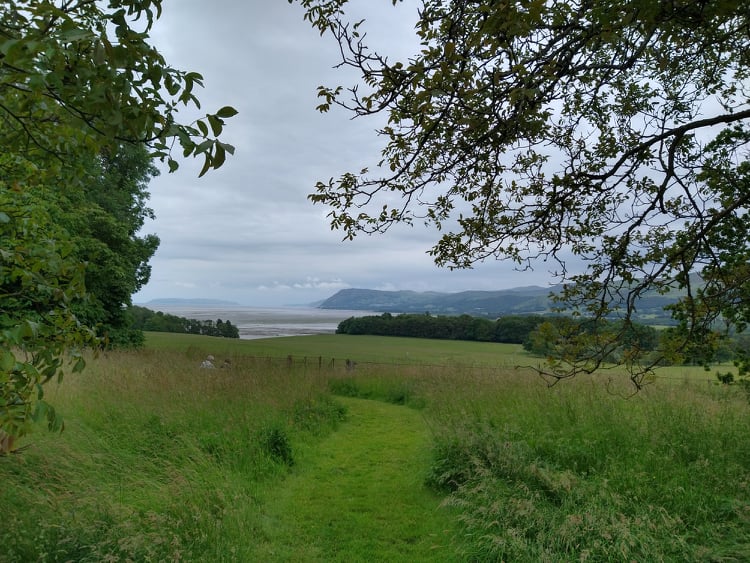 A view of the sea in the distance at Penrhyn, with a meadow in the foreground and trees framing the photo.