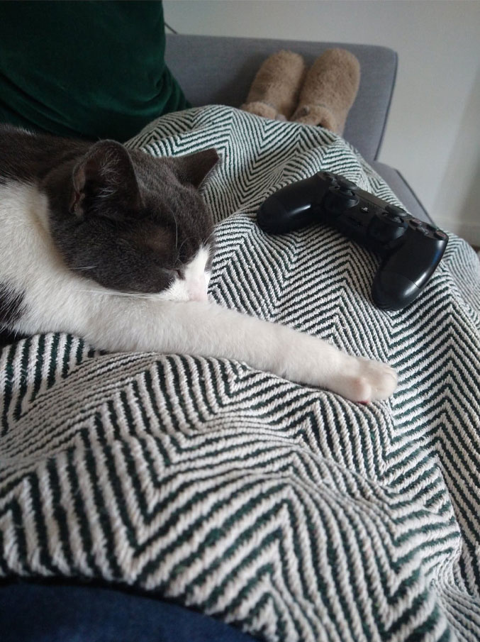 Lying on the sofa with a sleeping cat across my legs and my PlayStation 4 controller beside him.