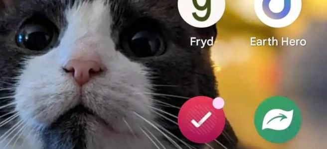 Phone background showing the apps icons in this blog post, with my cat as the background wallpaper.