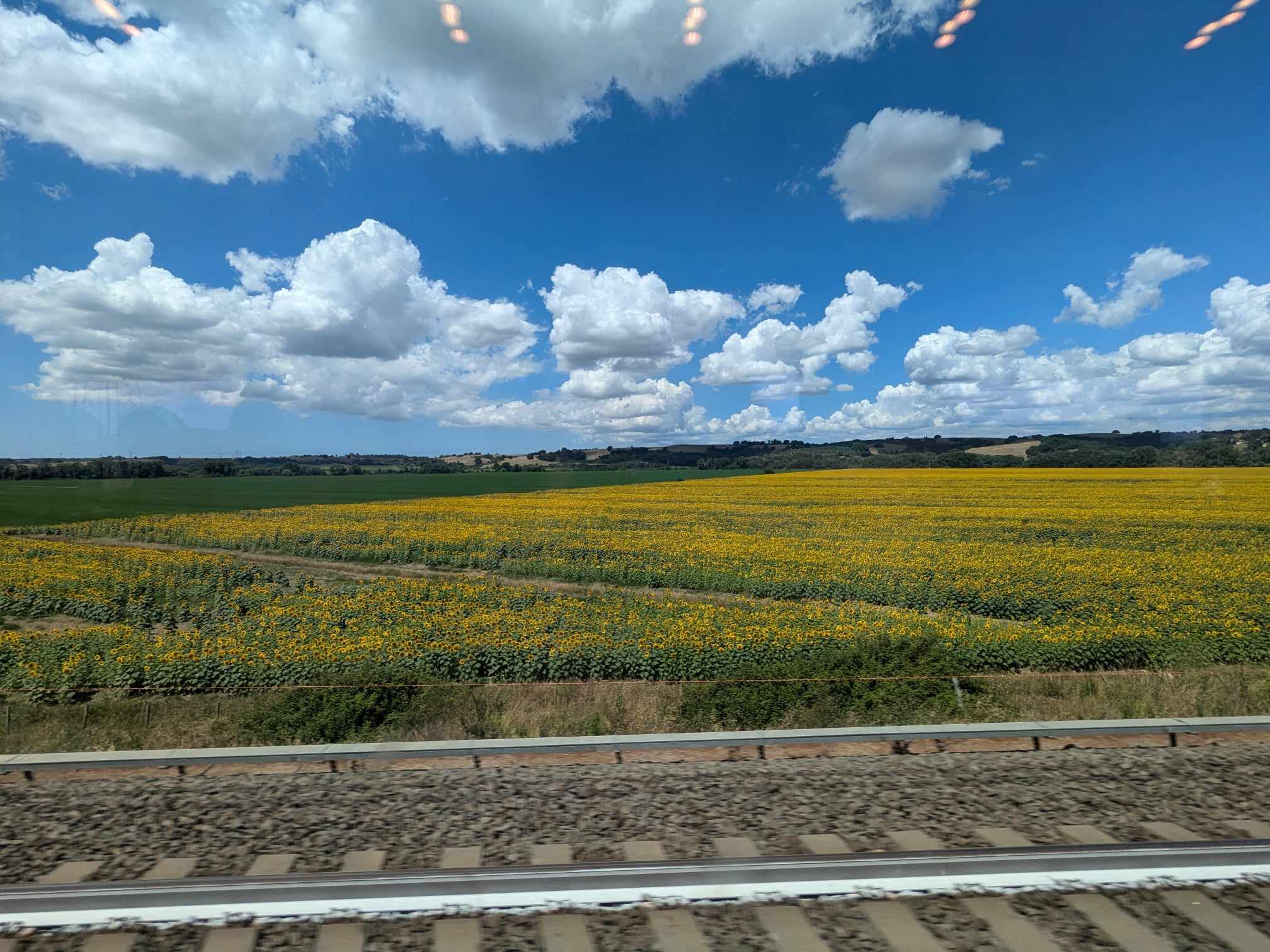 Beautiful meadows of yellow flowers under vast blue sky and beyond the train tracks.