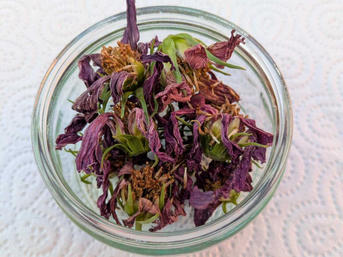 The lost art of preparation: 5 items you already have and don’t need to buy&nbsp;again