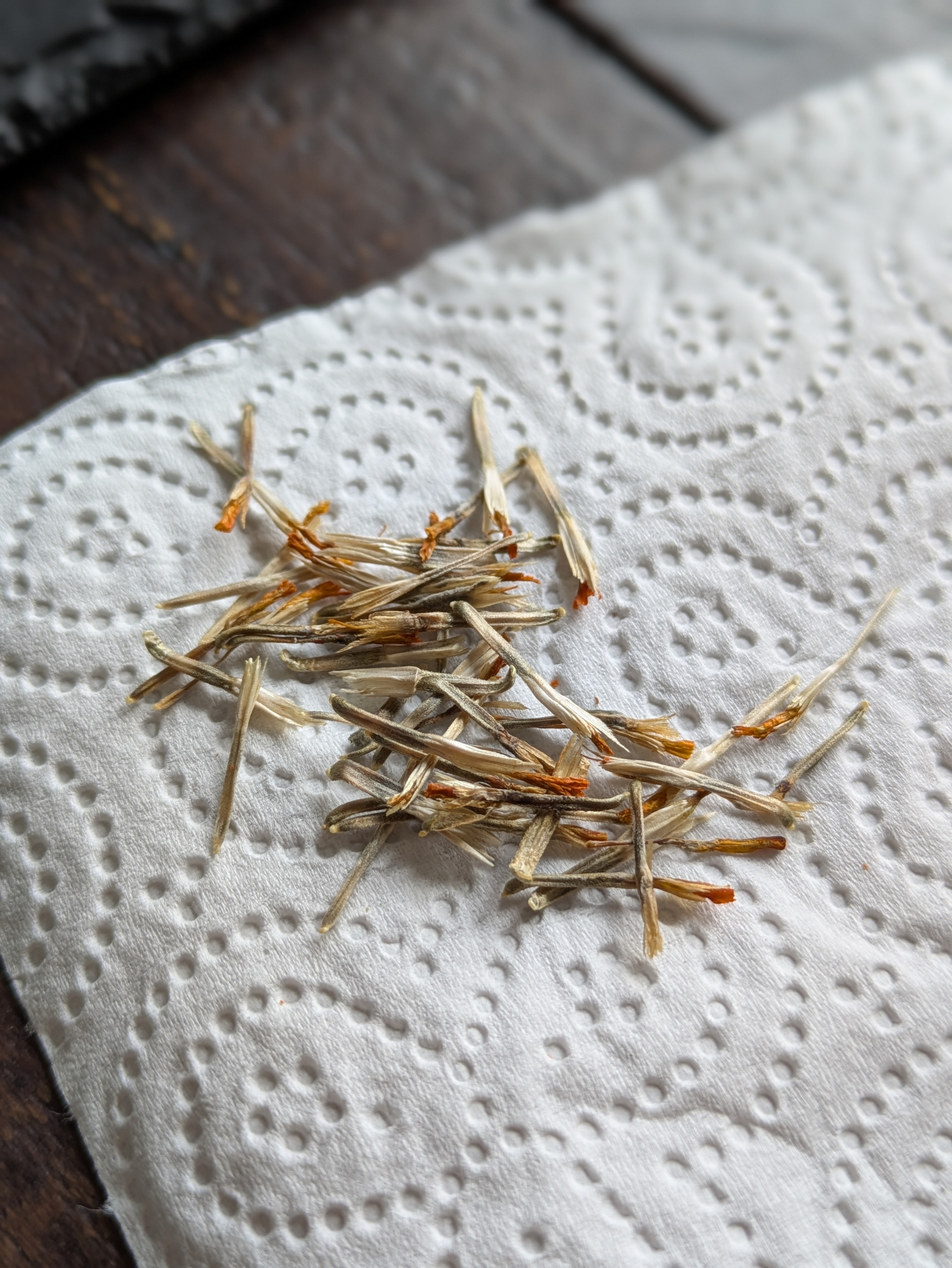 A pile of marigold seeds on kitchen roll.