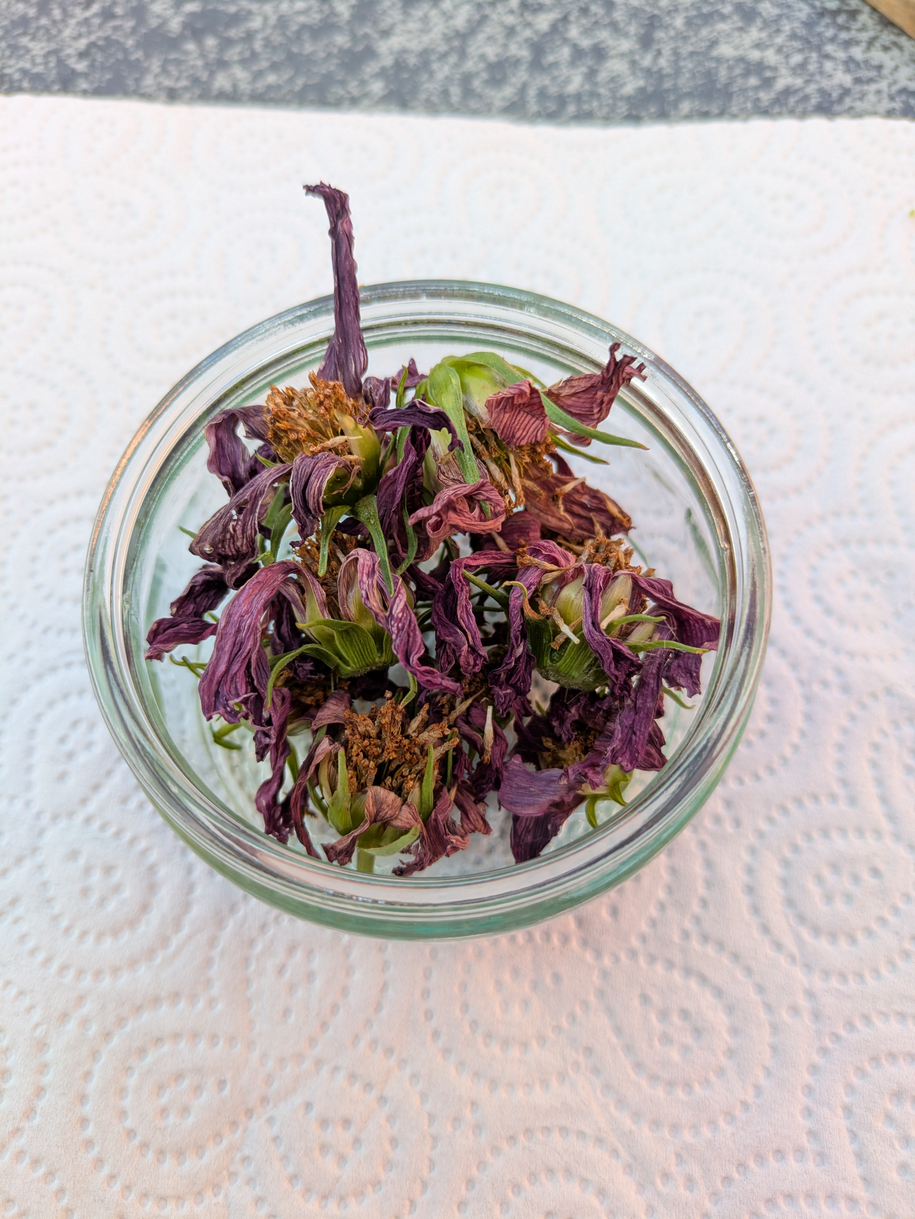 A Gu pot full of dried, purple cosmos heads, on kitchen roll.